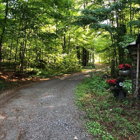 Bed and Breakfast Country Living Gravenhurst Exterior foto