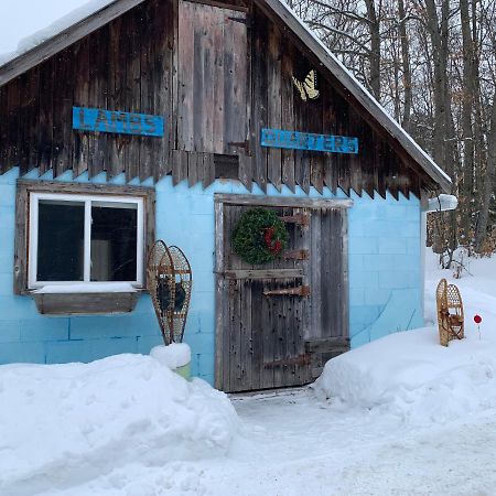 Bed and Breakfast Country Living Gravenhurst Exterior foto