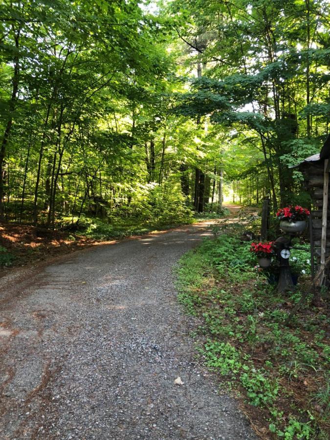 Bed and Breakfast Country Living Gravenhurst Exterior foto