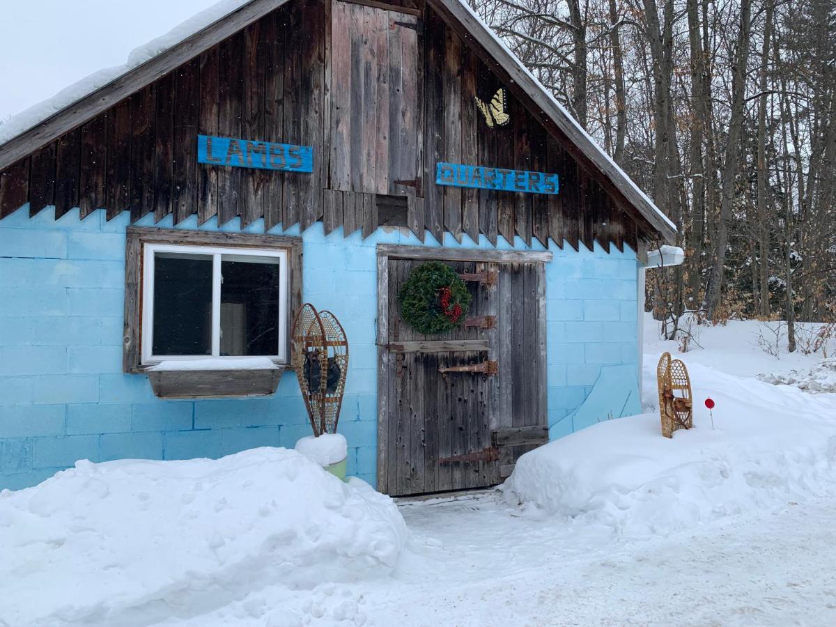 Bed and Breakfast Country Living Gravenhurst Exterior foto